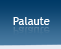 palaute